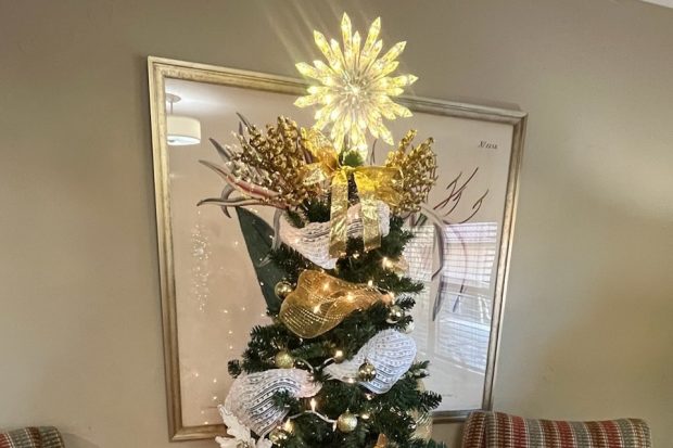 Saliba’s – Sierra Del Sol Christmas Tree-12-2023 – 3-2