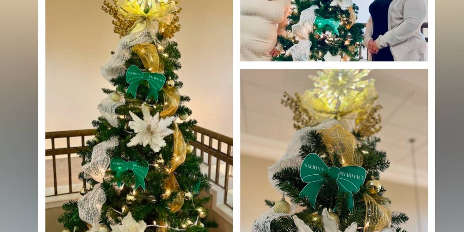 Sierra Del Sol collage