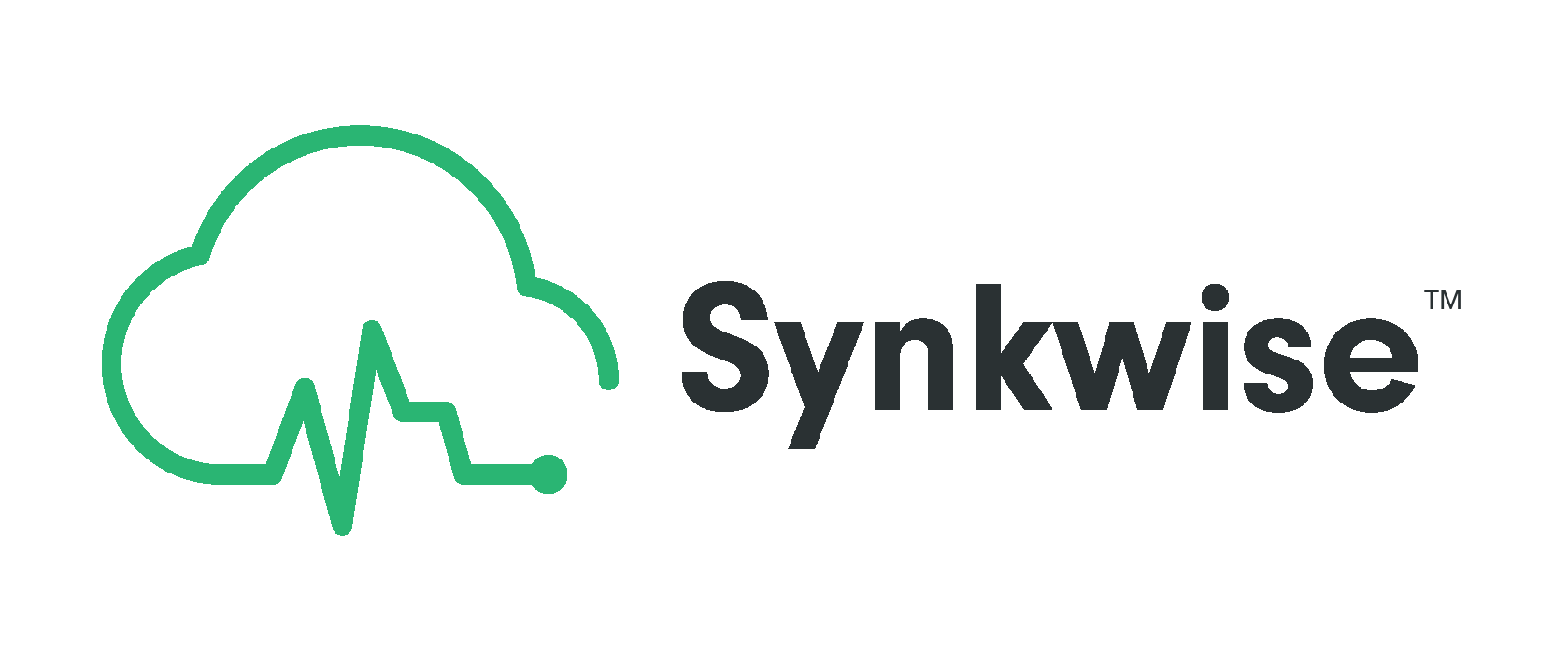 Synkwise_v2